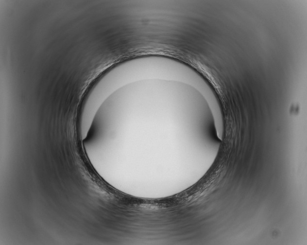 X0000099400394200806051212