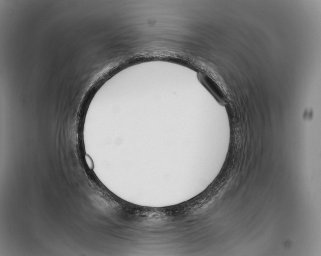 X0000099400395200806051212