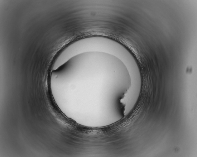 X0000099400398200806051212