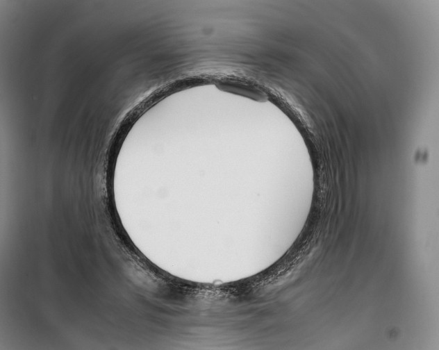 X0000099400399200806051212