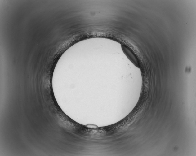 X0000099400401200806051212