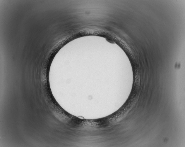 X0000099400403200806051212