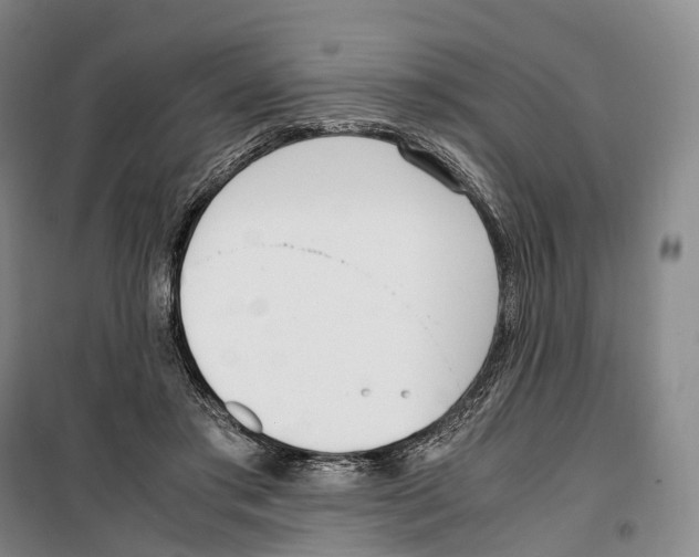 X0000099400405200806051212