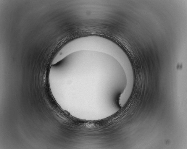 X0000099400406200806051212