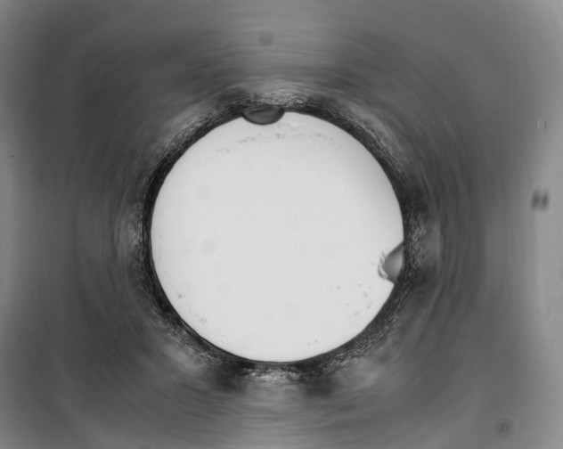 X0000099400407200806051212