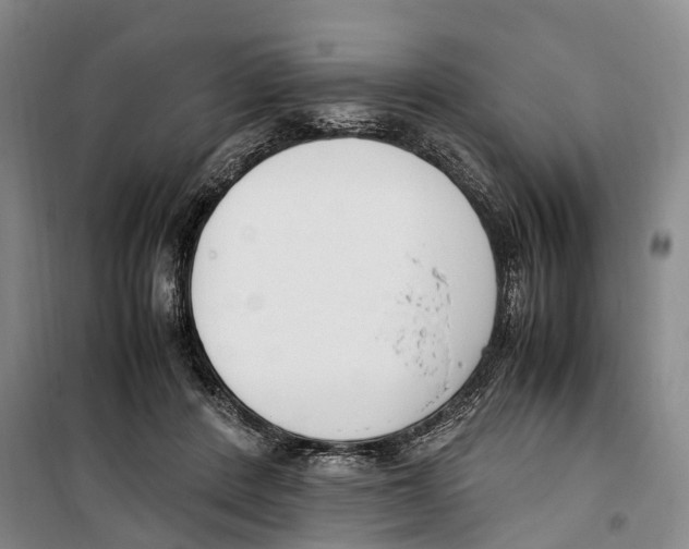 X0000099400408200806051212