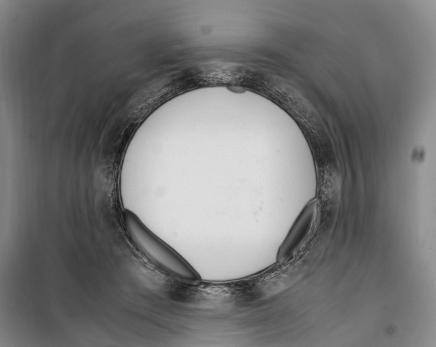 X0000099400409200806051212