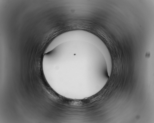 X0000099400410200806051212
