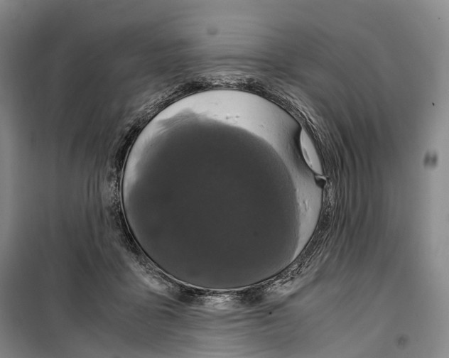 X0000099400411200806051212