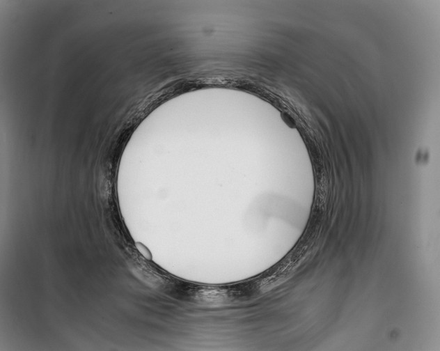 X0000099400413200806051212