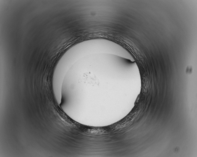 X0000099400414200806051212