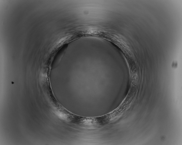 X0000099400415200806051212