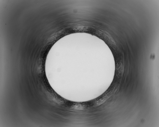 X0000099400416200806051212