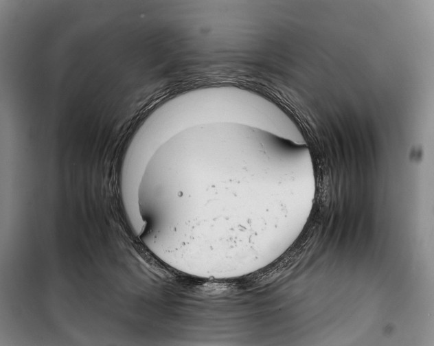 X0000099400418200806051212
