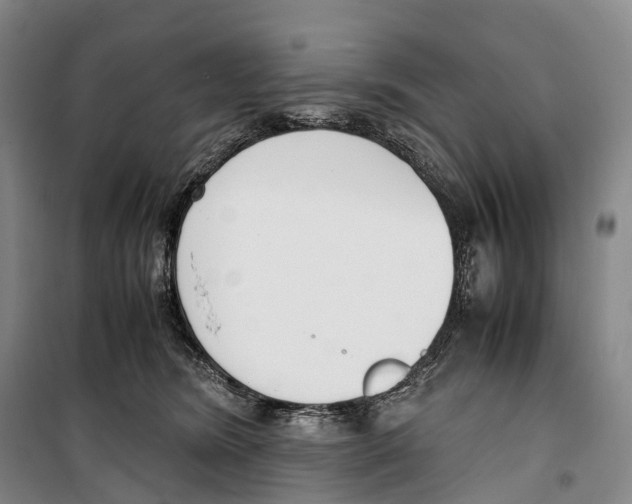 X0000099400420200806051212