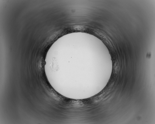X0000099400424200806051212