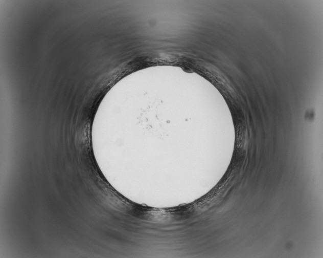 X0000099400425200806051212