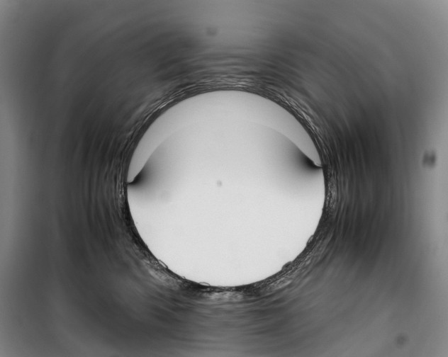 X0000099400426200806051212