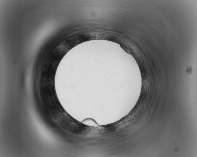 X0000099400429200806051212