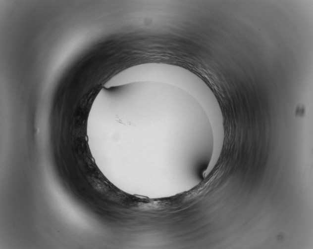 X0000099400430200806051212