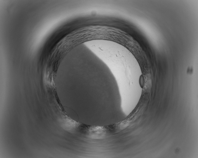 X0000099400431200806051212