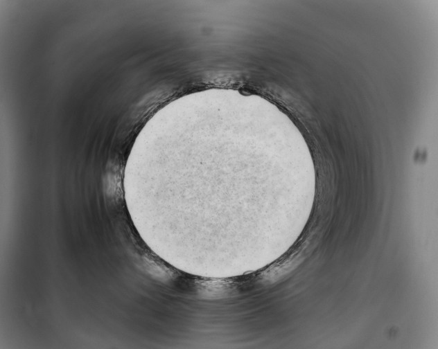 X0000099400432200806051212