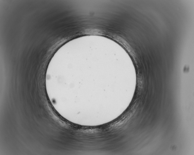 X0000099400433200806051211