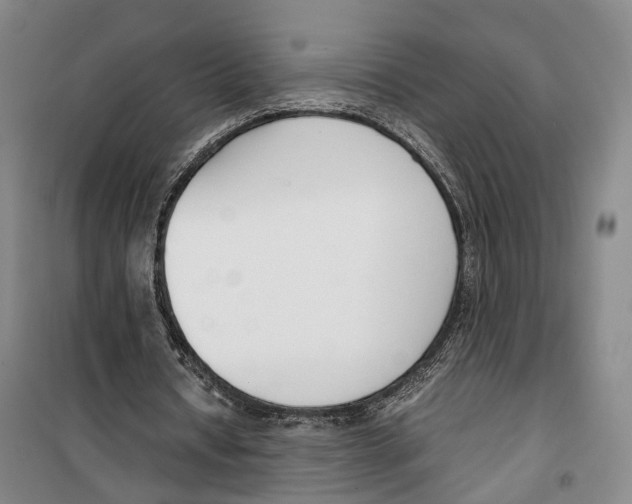 X0000099400434200806051211