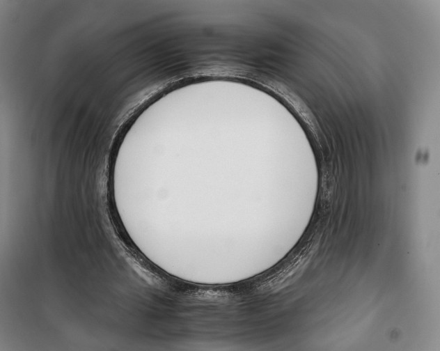 X0000099400437200806051211
