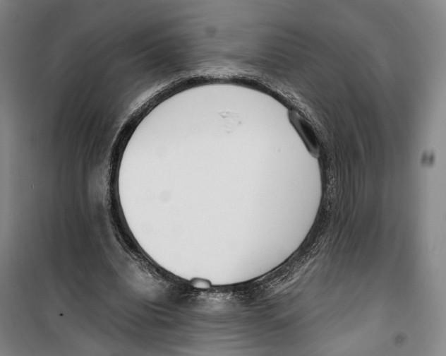 X0000099400440200806051211