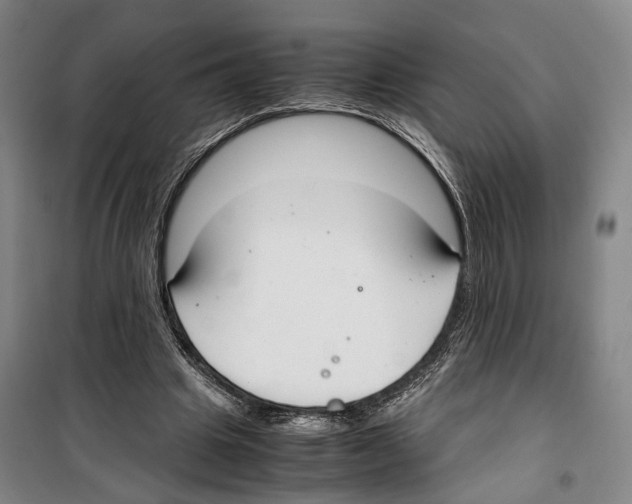X0000099400441200806051211