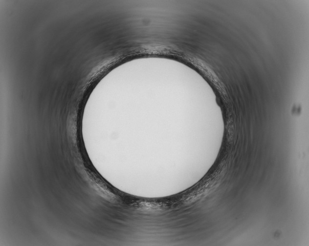 X0000099400442200806051211