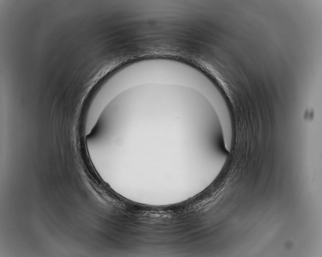 X0000099400443200806051211