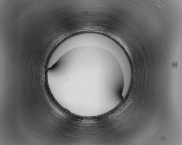 X0000099400445200806051211
