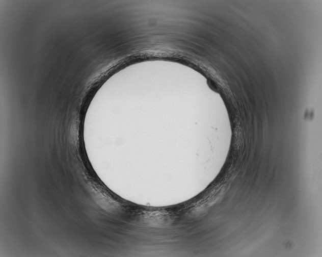 X0000099400446200806051211