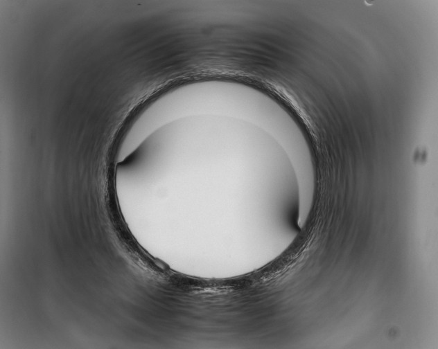 X0000099400447200806051211