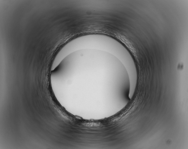 X0000099400449200806051211