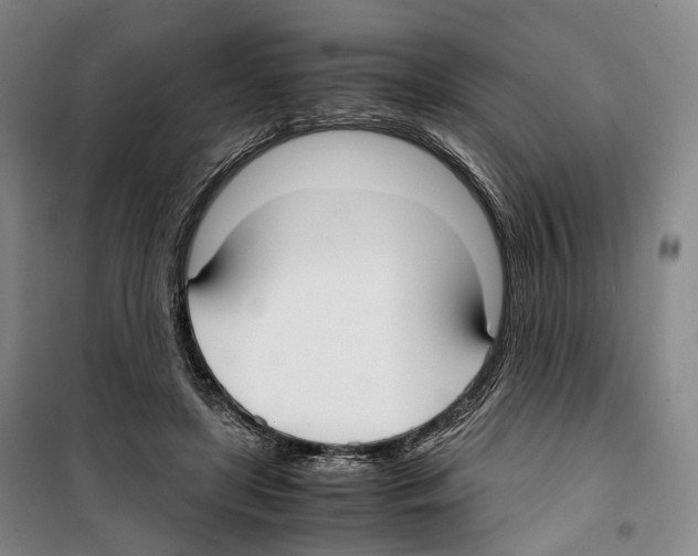 X0000099400451200806051211