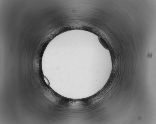 X0000099400452200806051211