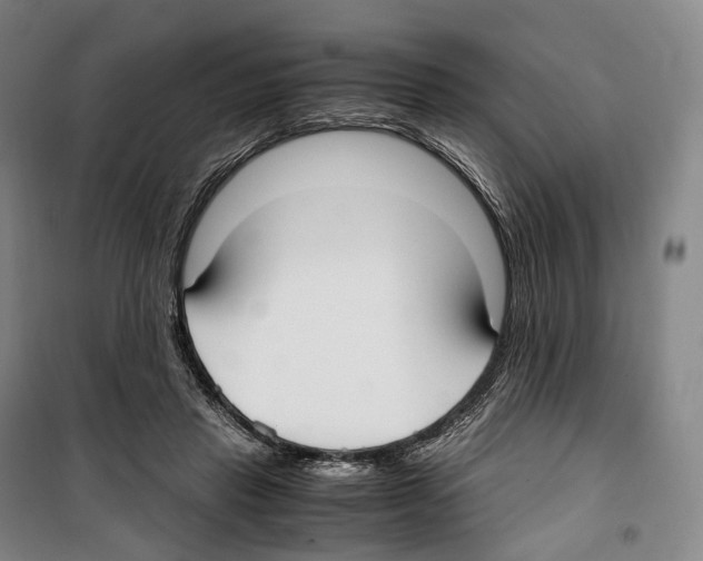 X0000099400453200806051211