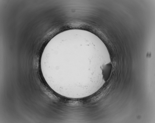 X0000099400454200806051211