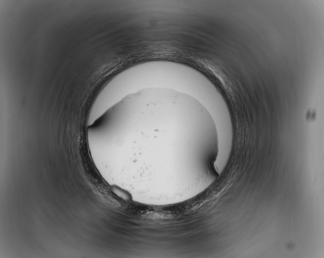 X0000099400455200806051211