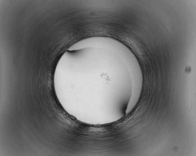 X0000099400457200806051211