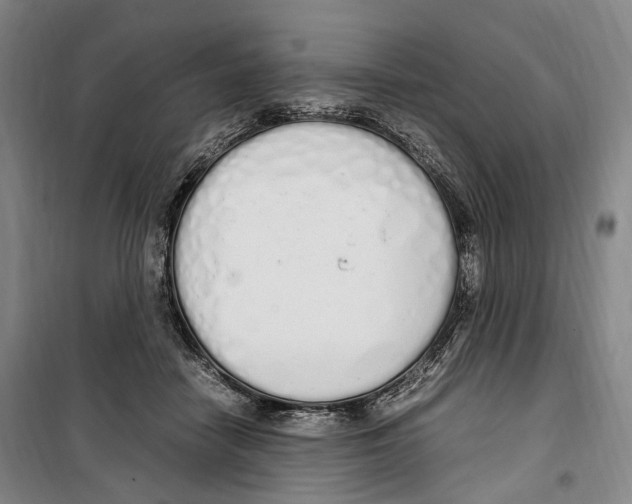 X0000099400458200806051211