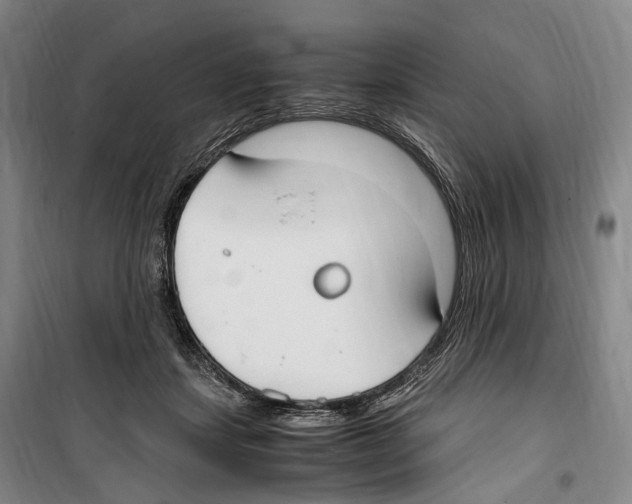 X0000099400459200806051211