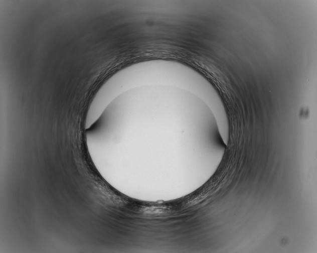 X0000099400461200806051211