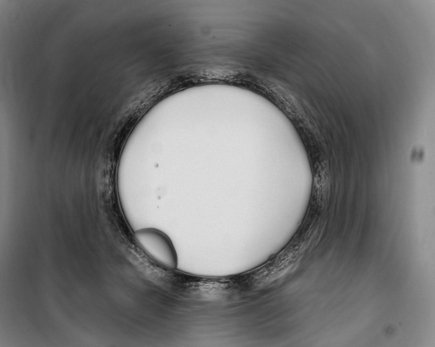 X0000099400462200806051211