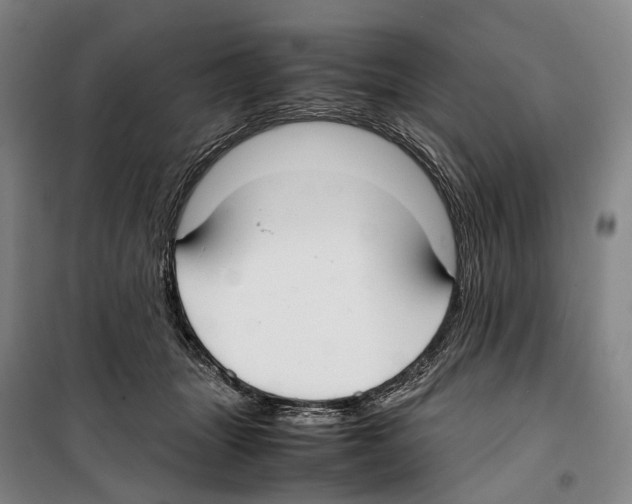 X0000099400463200806051211