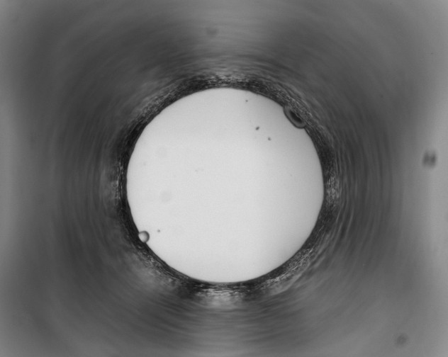 X0000099400464200806051211