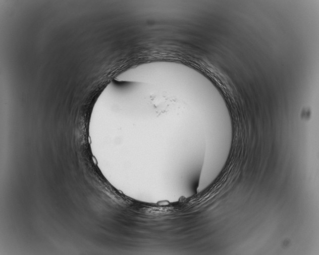 X0000099400465200806051211